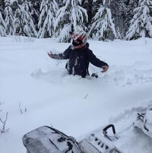 Meet your Posher, Noah